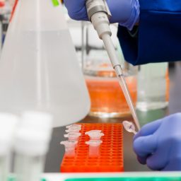 URALCHEM: Wide Range of Mineral Fertilizers